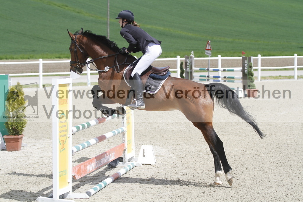 _MG_2167 | equestrian-live-com