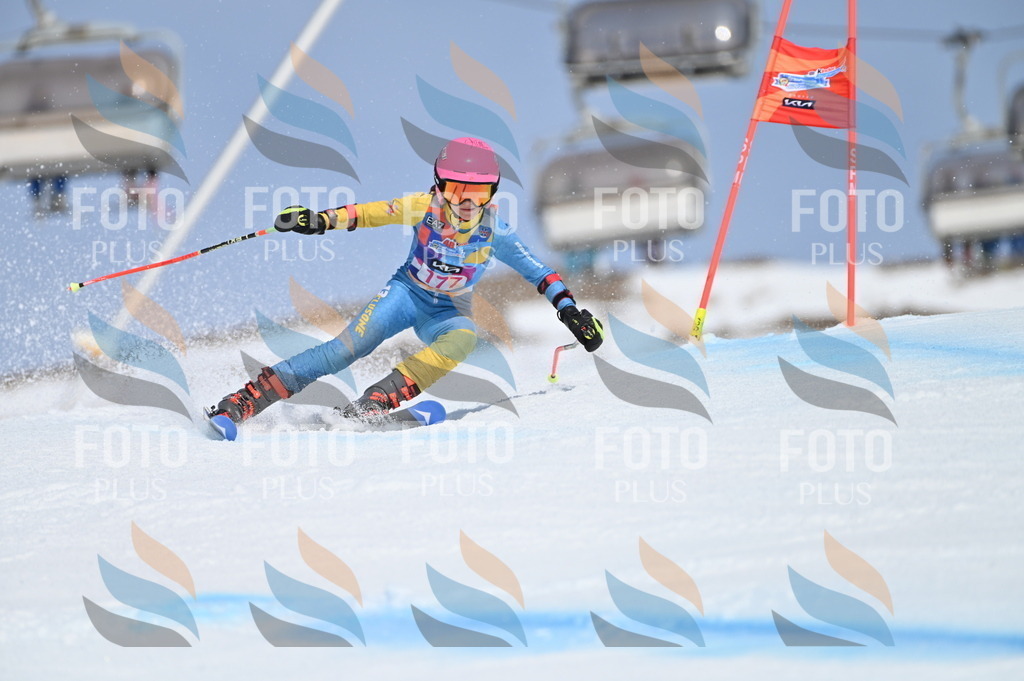 BGV_0549 | holidayphoto