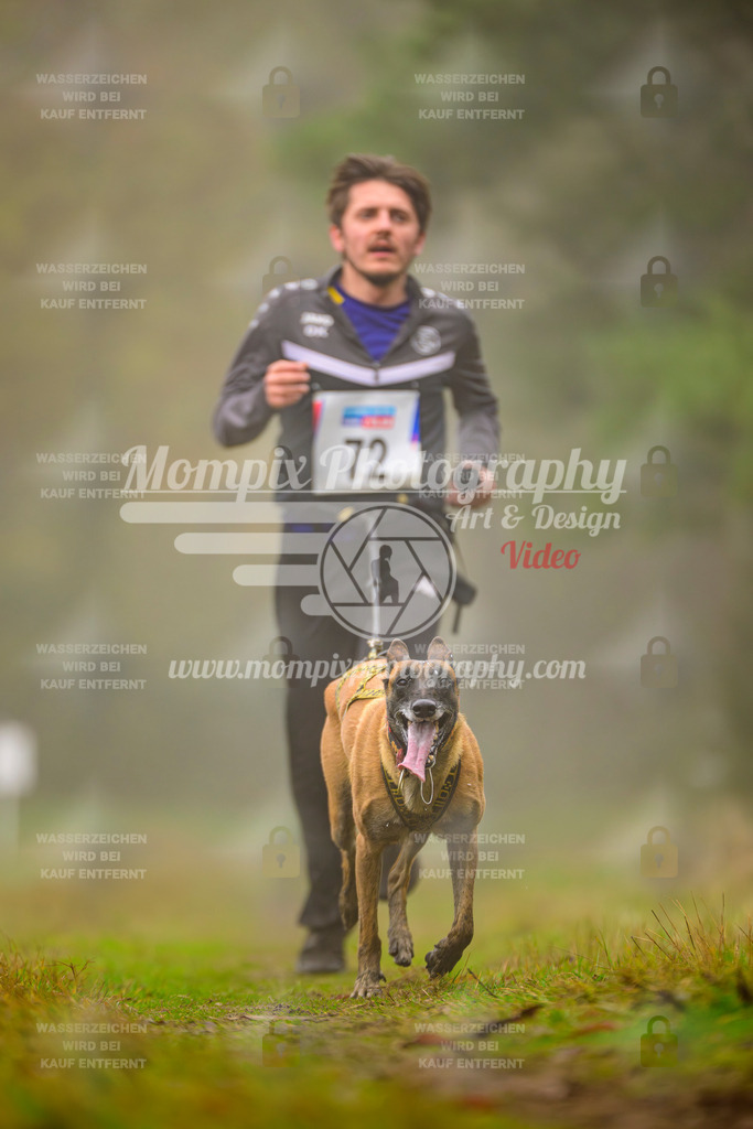 MompixPhotography_Bischwiller2025_Canicross-67 | mompixphotography