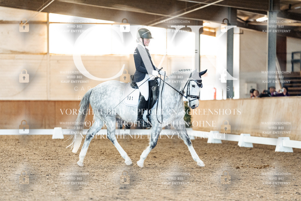CK907760 | Turnierfotografie Pferdefotografie Trier Rheinland-Pfalz Pferdesport Reitsport Tierfotografie Sportfotografie Pferdevideo Pferdevideografie Equestrianvideography equestrianphotography  - Realisiert mit Pictrs.com