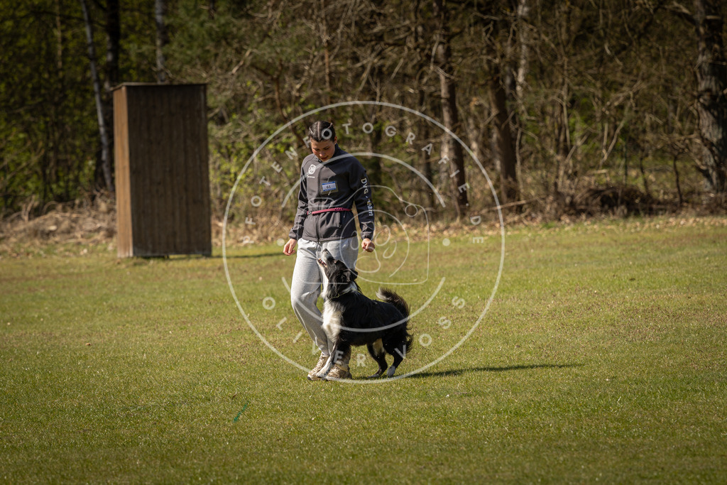 Pfotenfotografie_DV3A1153 | Hundefotografie, Tierfotograf, Pfotenfotografie, Fotoshooting Hund, Hunde Portrait, Hundesport, Hundeportraits, Heideshooting, Hunde, Sportfotograf, Hundefotograf, Turnierhundsport, THS,  - Realisiert mit Pictrs.com