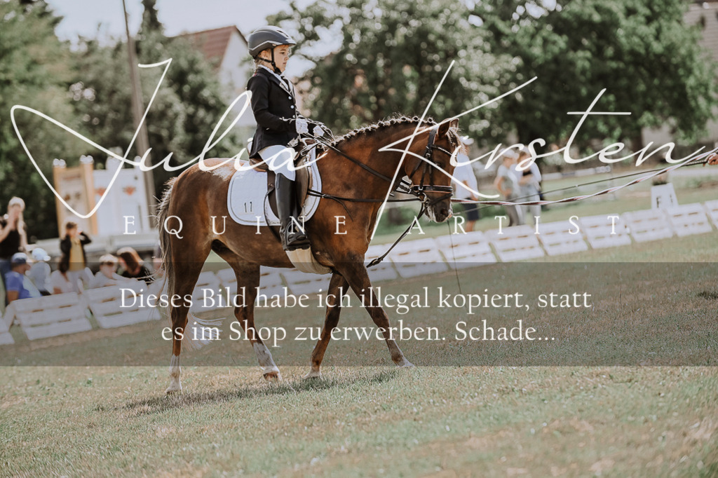 DSC_7640 | Pferde- und Turnierfotografie in Westsachsen. Pferdeportraits, Auftragszeichnungen und intuitive Kunst.