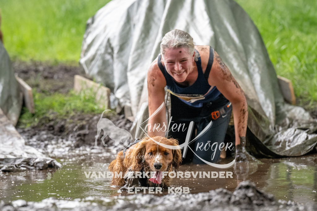 1501_ZZ91569-Bearbeitet | kk-dogfotos