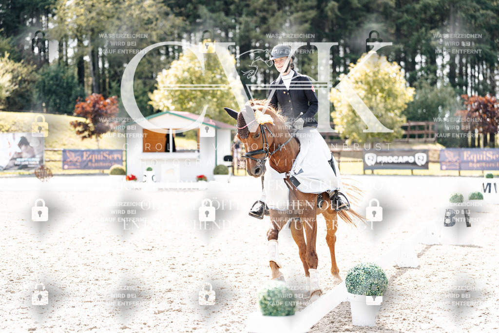 CK901023 | Turnierfotografie Pferdefotografie Trier Rheinland-Pfalz Pferdesport Reitsport Tierfotografie Sportfotografie Pferdevideo Pferdevideografie Equestrianvideography equestrianphotography  - Realisiert mit Pictrs.com