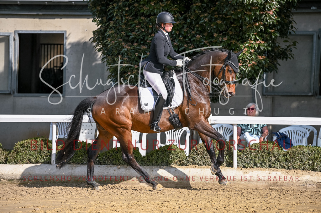 Schugtsche-Aluta25-52.Dressurprf.M2Kand-264 | Schugtsche Fotografie - Realisiert mit Pictrs.com