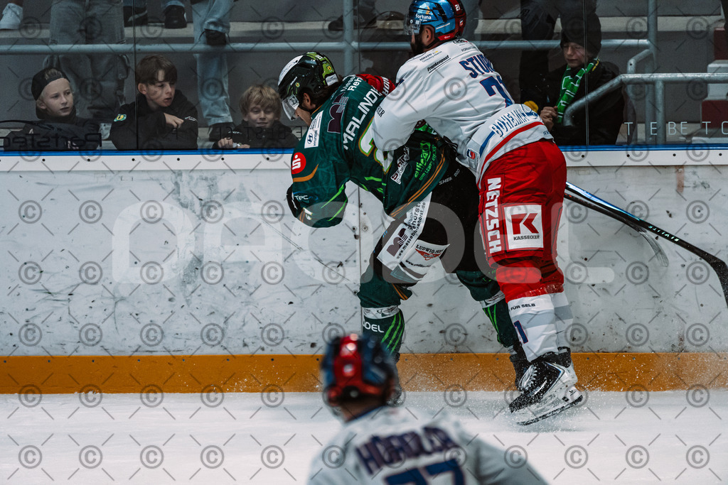 Alligators_vs_Selb_13_09_2026-24 | Die Fotogalerie von Daddel: professionelle Bilder von Sport, Events und Unternehmen aus Franken. Jetzt Galerien durchstöbern und Lieblingsfotos bestellen. - Realisiert mit Pictrs.com