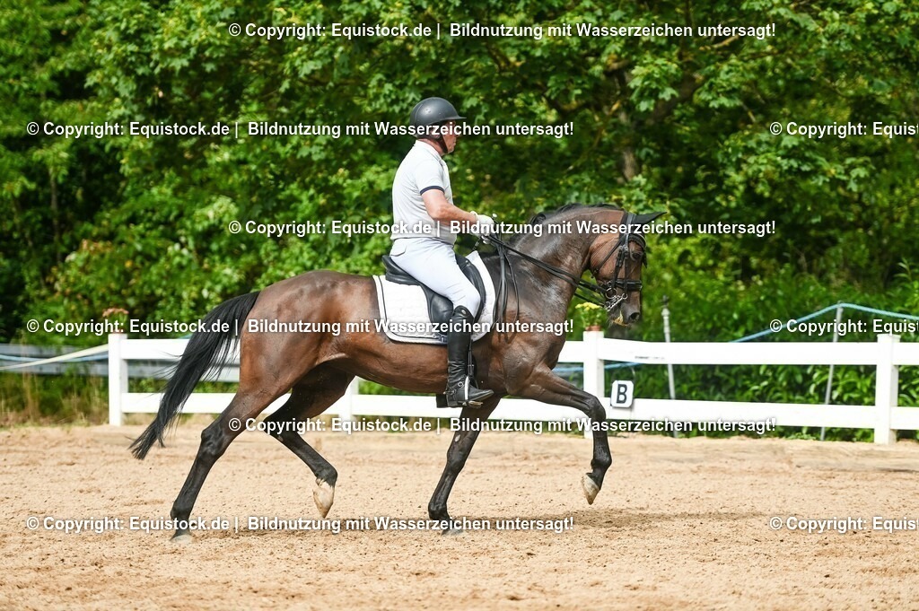 20230716_01_Dressurprüfung Kl.M_0567 | equistock