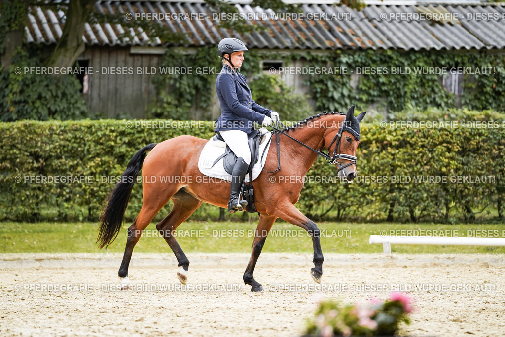 DSC01365 | Pferdegrafie