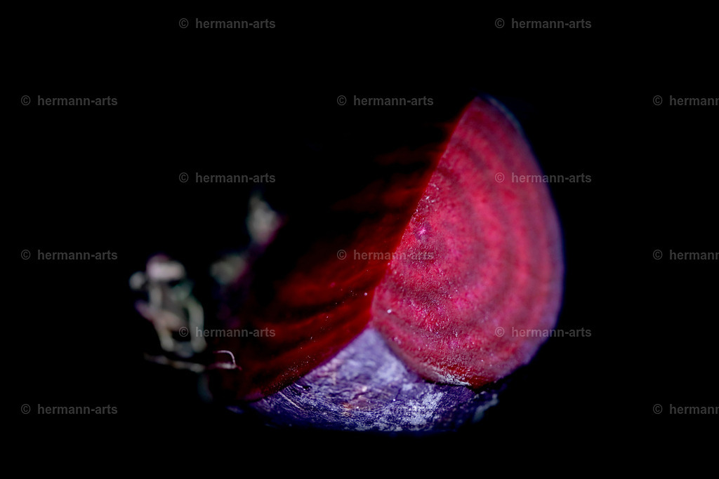 Fruits-Art-047 | Photo Foto Kunst Art schwarzweiss Bilder Rheine Münster Berlin Blumen 