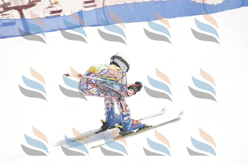 _ELE8728 | holidayphoto