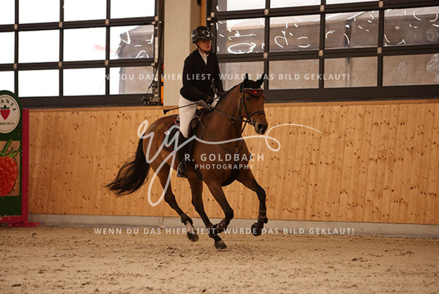 1J2A3356Jasmin Selke-John_ Catharina 16_ Kn094_ Hohen Wieschendorf_ Glantz | Foto- und Videografie für alles rund ums Pferd. Hochwertige Bilder und Videos vom Spring- und Dressurreiten, Voltigieren & mehr. Jetzt aktuelle Veranstaltungen und Preise im Shop ansehen. - Realisiert mit Pictrs.com