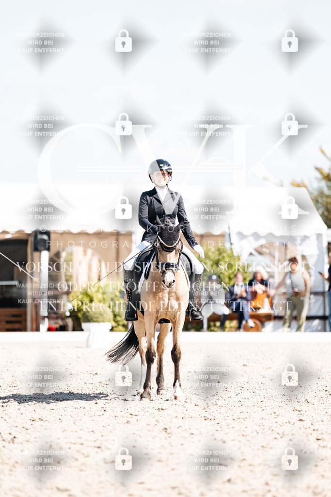 CK903877 | Turnierfotografie Pferdefotografie Trier Rheinland-Pfalz Pferdesport Reitsport Tierfotografie Sportfotografie Pferdevideo Pferdevideografie Equestrianvideography equestrianphotography  - Realisiert mit Pictrs.com