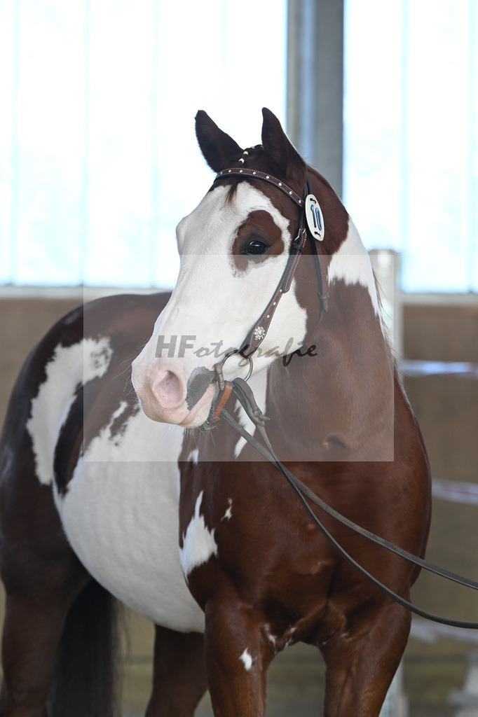 Kat-Nr. 10 ARH Like One Marvel v. One Gun_Reicherzer_49250483 | hf-fotografie - Realisiert mit Pictrs.com