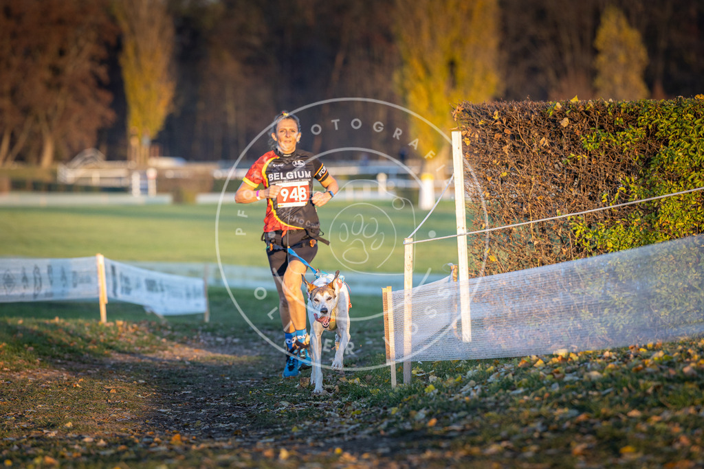 CaniXpix_DV3A5533 | Hundefotografie, Tierfotograf, Pfotenfotografie, Fotoshooting Hund, Hunde Portrait, Hundesport, Hundeportraits, Heideshooting, Hunde, Sportfotograf, Hundefotograf, Turnierhundsport, THS,  - Realisiert mit Pictrs.com
