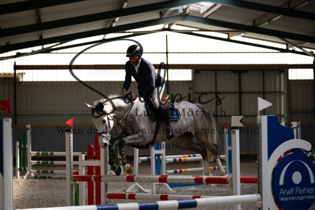 A7V08046 | Pferdefotograf