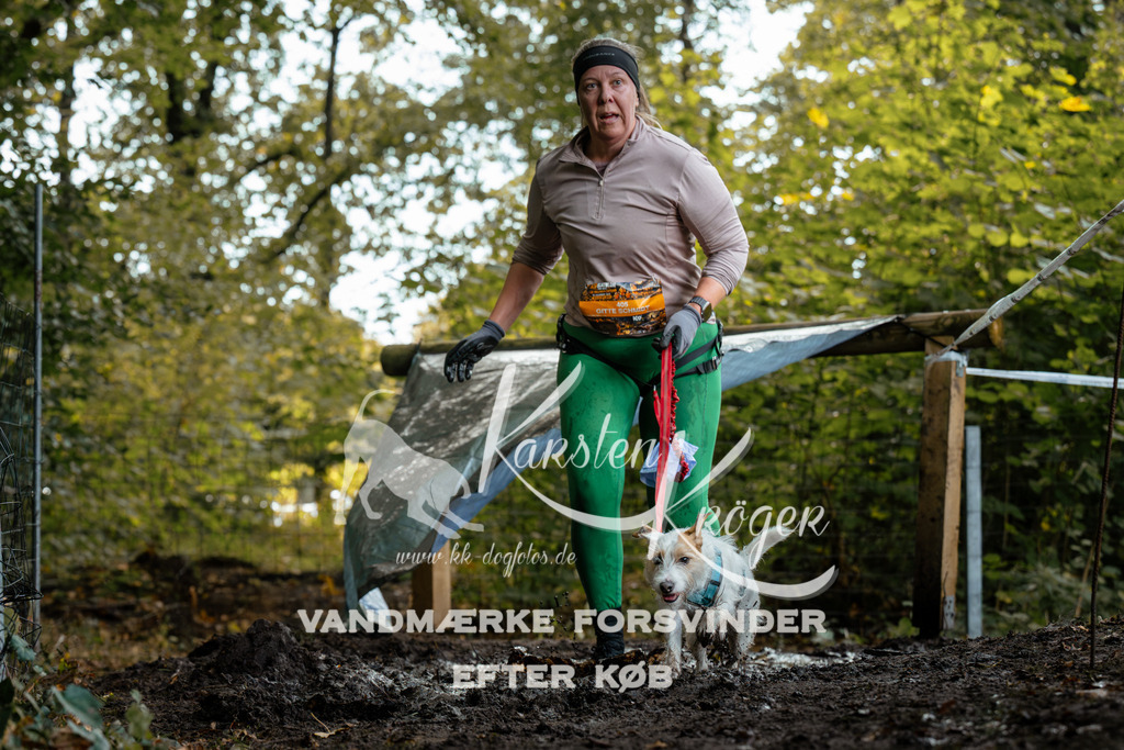 1416DZ6_1427Z6 | kk-dogfotos