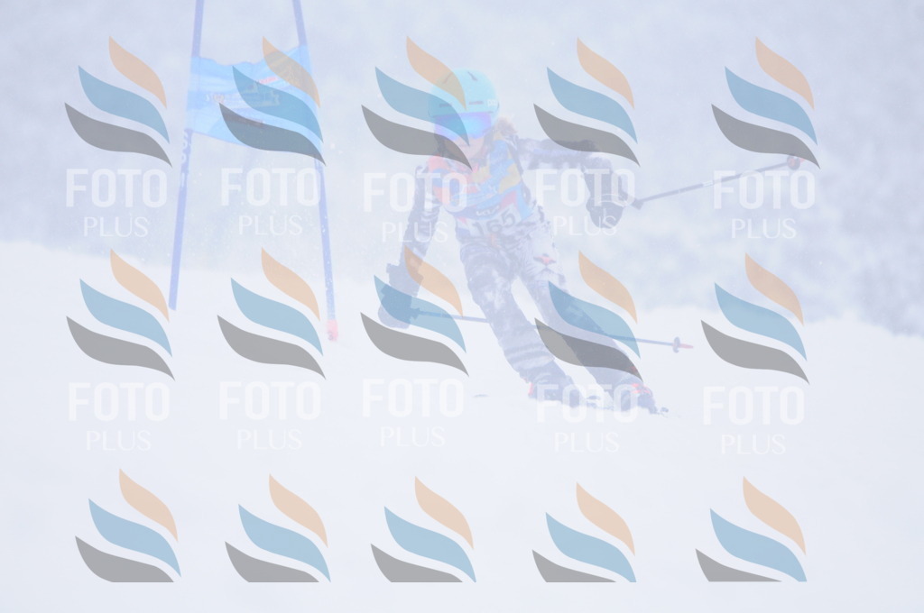 C1941 | holidayphoto