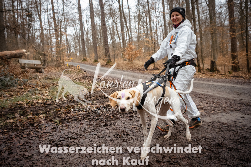 1157_ZZ93125 | kk-dogfotos