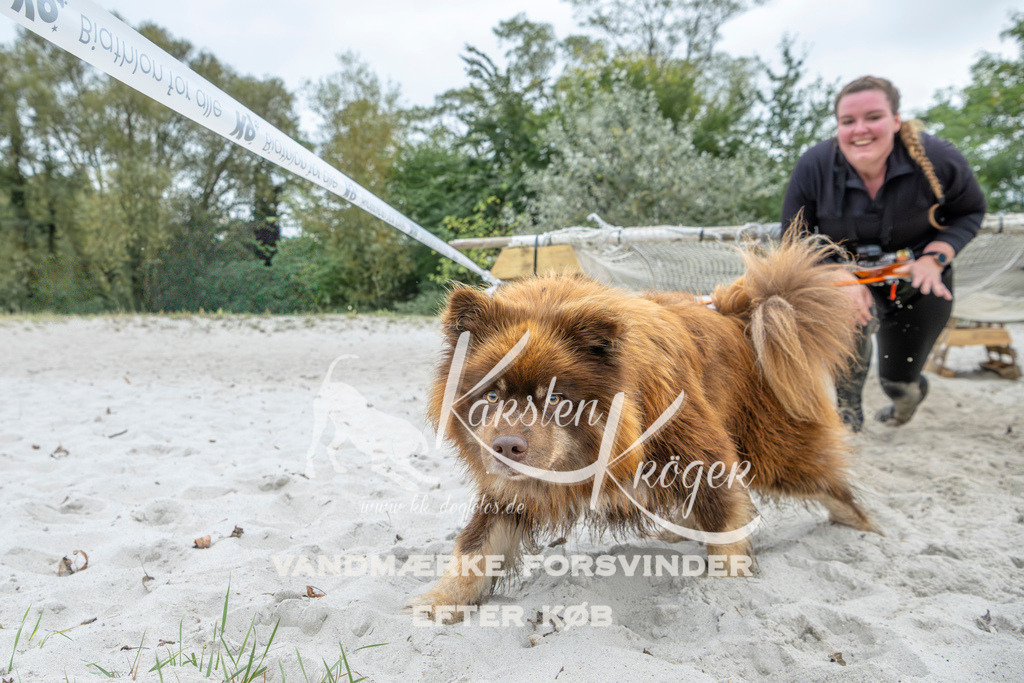 1106_ZZ95549 | kk-dogfotos