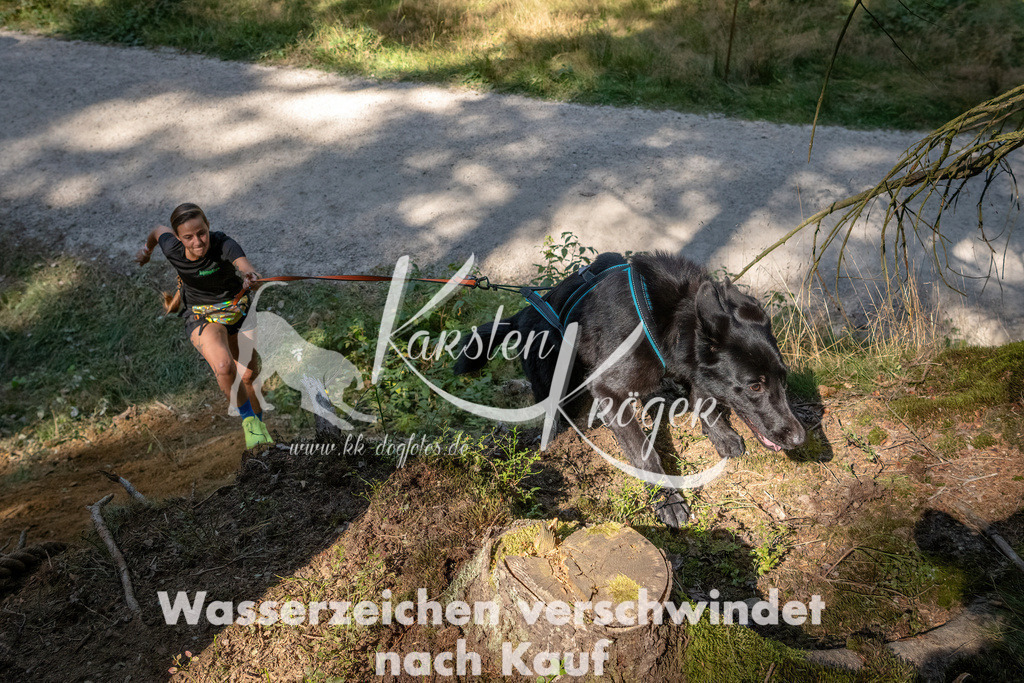 1241_ZZ94833 | kk-dogfotos