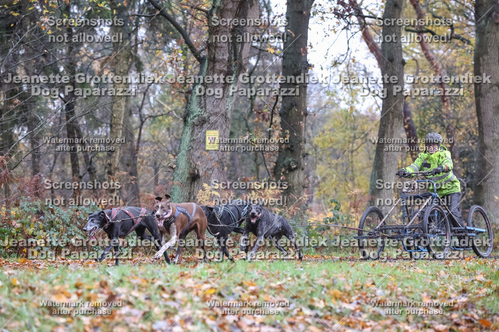 Dog Paparazzi - Ströhen 25-26 | Dog Paparazzi Jeanette Grottendiek Fotografie & Videografie