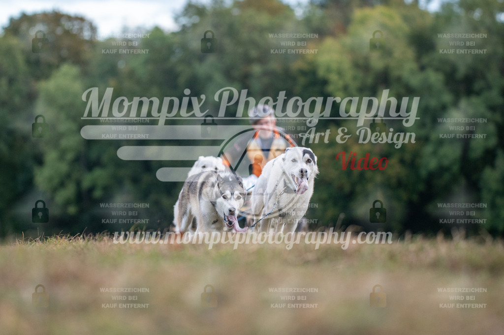 CDLBDB_15_10_2023_Dimanche-34 | PayLife