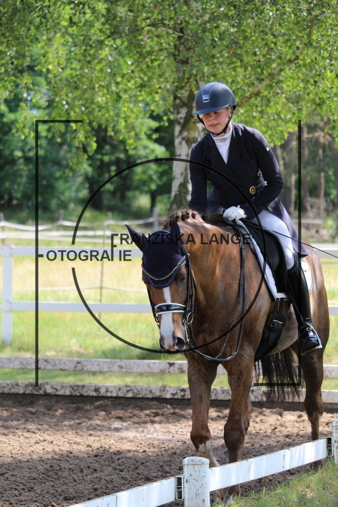 IMG_7376 | franziskalange - Realisiert mit Pictrs.com