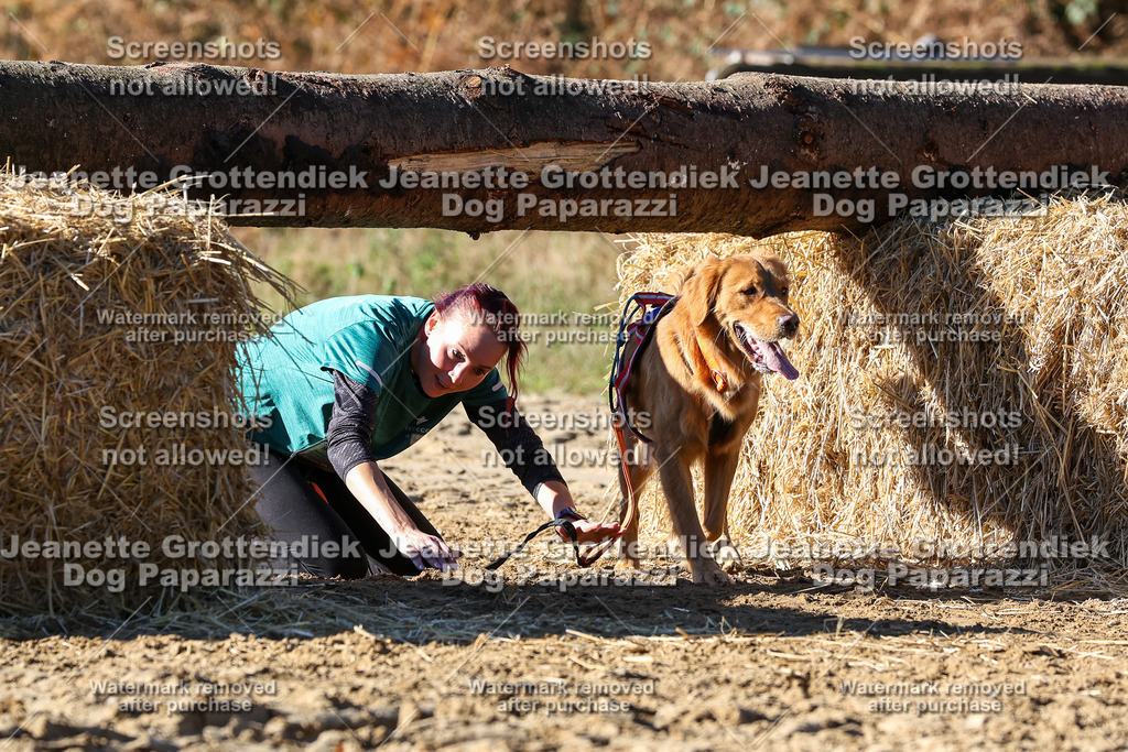 Dog Paparazzi - Strongdog 10-25-2704 | Dog Paparazzi Jeanette Grottendiek Fotografie & Videografie - Realisiert mit Pictrs.com