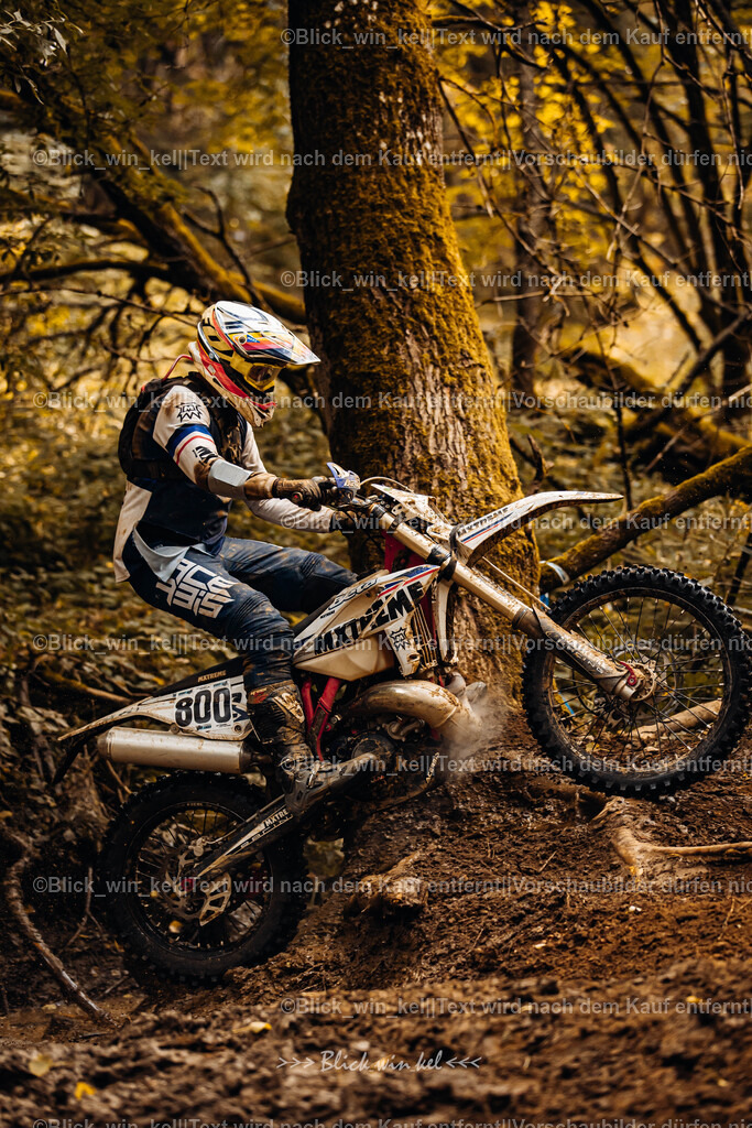 E68A6133 | blick_win_kel