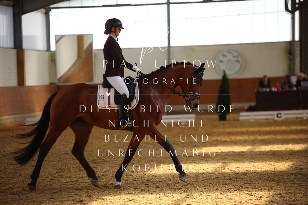 IMGT4695 | pl-fotografie