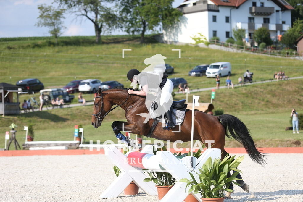 DL2Q3191 | Willkommen bei Brunnmayr - Design & Fotografie – Ihrem Spezialisten für Reitturniere und Pferdeveranstaltungen in Oberösterreich, Salzburg und Bayern! Seit über 17 Jahren sind wir leidenschaftlich dabei.