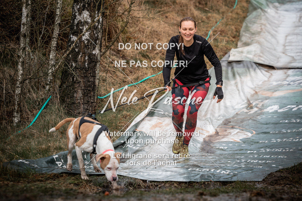 nelerasche_1030-1100_98 | nelerasche