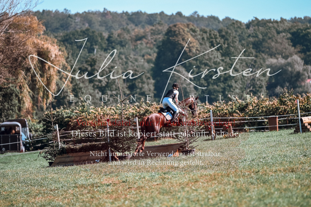 DSC_0760 | Pferde- und Turnierfotografie in Westsachsen. Pferdeportraits, Auftragszeichnungen und intuitive Kunst.