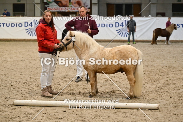 25_Cay - Kalif II_963_1640 | Björn Schroeder Pferdefotografie