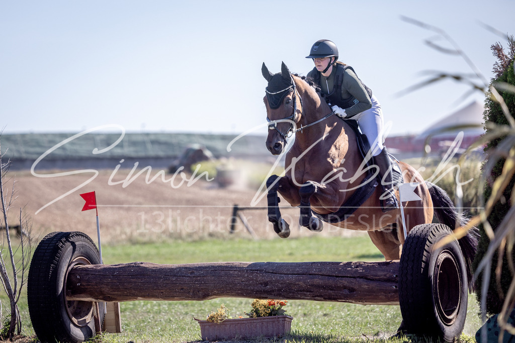 20260906-_3LI2418 | Tierfotografie Pferde, Hunde, Katzen, Haustiere.
Turnierfotografie Reitturniere, Reiten, Springreiten, Dressur in Hanau, dem Main-Kinzig-Kreis und dem Rhein-Main- Gebiet um Frankfurt