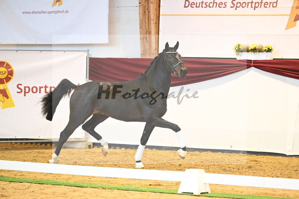 Kat-Nr. 77 v. Valentino Rossi_Ederle_66222371 | hf-fotografie - Realisiert mit Pictrs.com