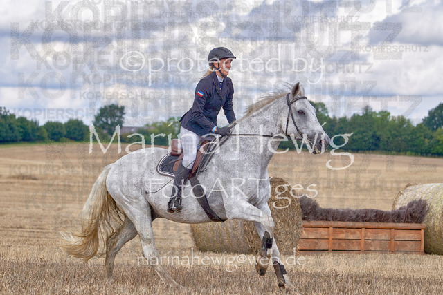 08-23 Bredeneek Jagd_MCH8927_Marina Hewig | Fotografie, FotoArt, PferdesportArt, Pferdesportfotografie, Landschaftsfotografie, Reisefotografie, Reise, Pferde - Realisiert mit Pictrs.com