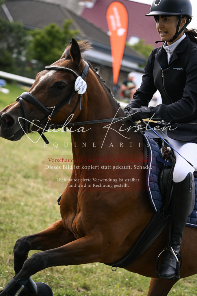 DSC_0668 | Pferde- und Turnierfotografie in Westsachsen. Pferdeportraits, Auftragszeichnungen und intuitive Kunst.