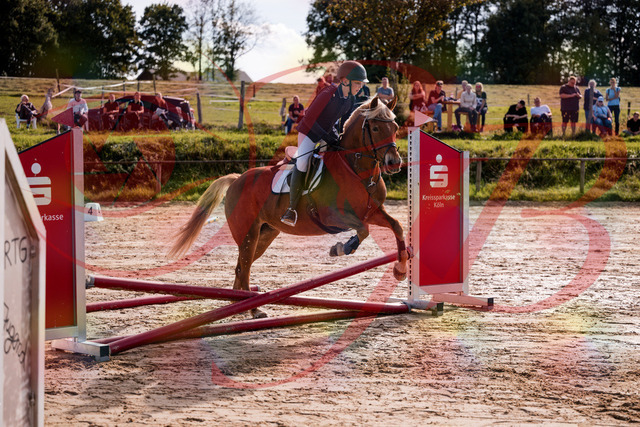 2026_10_03_Siefer-Hof_144650_Z81_22984375 | Professionelle Reitsport-, Turnier- und Eventfotografie von Robert Broda. Galerien mit ausgewählten und bearbeiteten Bildern direkt online ansehen und bestellen.
