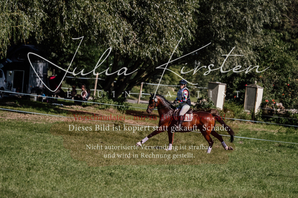 DSC_1546 | Pferde- und Turnierfotografie in Westsachsen. Pferdeportraits, Auftragszeichnungen und intuitive Kunst.