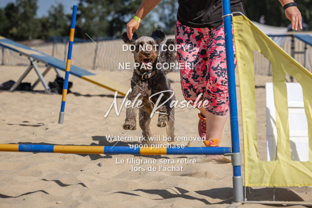 nelerasche_saBeachility_372 | nelerasche