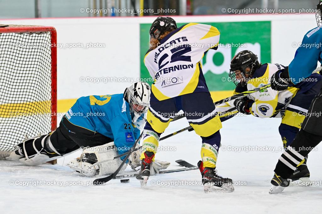 BST_6538 | hockey sports photos, Pressefotos, Sportfotos, hockey247, win 2day icehockeyleague, Handball Austria, Floorball Austria, ÖVV, Kärntner Eishockeyverband, KEHV, KFV, Kärntner Fussballverband, Österreichischer Volleyballverband, Alps Hockey League, ÖFB, 