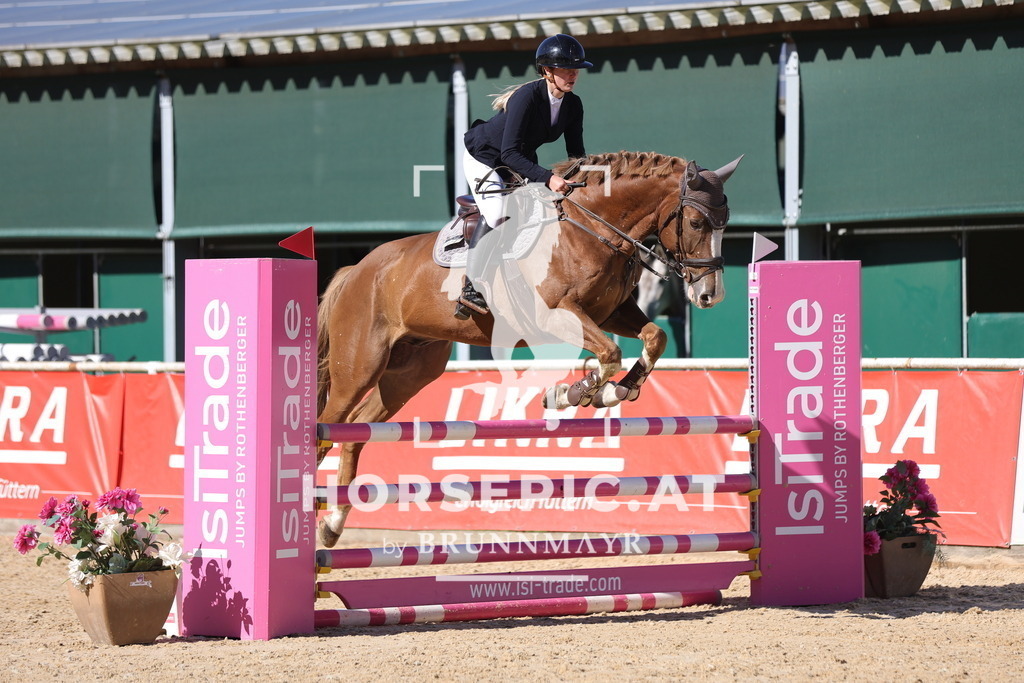 0P6A0344 | Willkommen bei Brunnmayr - Design & Fotografie – Ihrem Spezialisten für Reitturniere und Pferdeveranstaltungen in Oberösterreich, Salzburg und Bayern! Seit über 17 Jahren sind wir leidenschaftlich dabei.