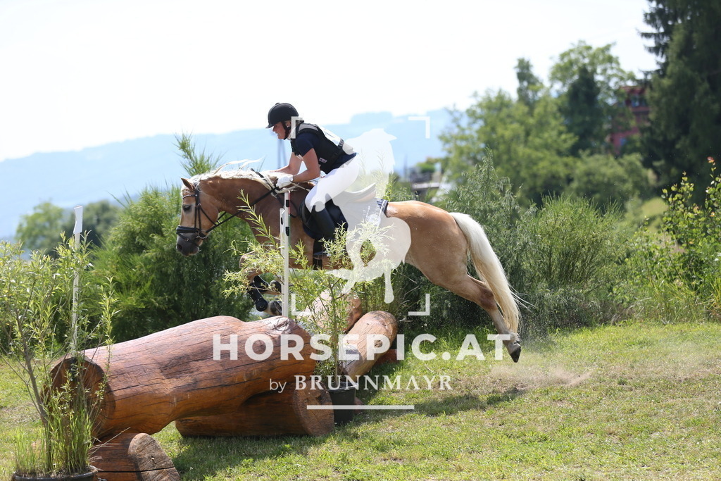 DL2Q2594 | Willkommen bei Brunnmayr - Design & Fotografie – Ihrem Spezialisten für Reitturniere und Pferdeveranstaltungen in Oberösterreich, Salzburg und Bayern! Seit über 17 Jahren sind wir leidenschaftlich dabei.