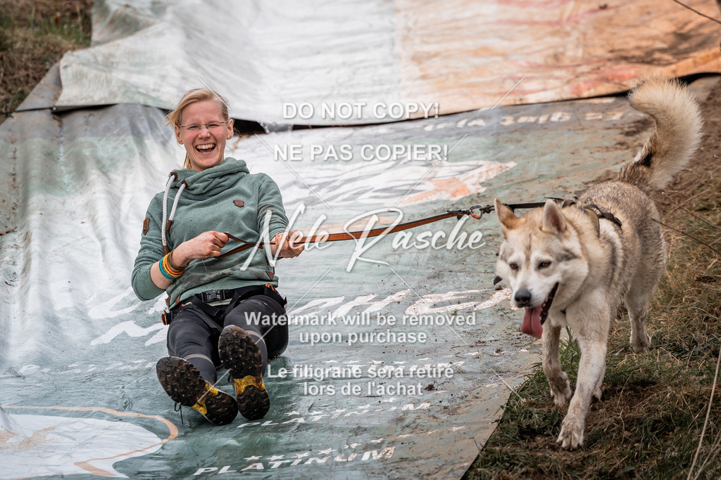 nelerasche_1400-1430_300 | nelerasche