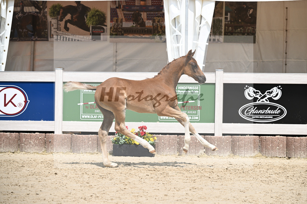 Don Olympic x Benetton Dream_HF_Groll_12250664 | hf-fotografie - Realizzato con Pictrs.com