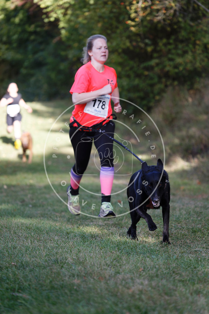 0L8A5419 | Hundefotografie, Tierfotograf, Pfotenfotografie, Fotoshooting Hund, Hunde Portrait, Hundesport, Hundeportraits, Heideshooting, Hunde, Sportfotograf, Hundefotograf, Turnierhundsport, THS,  - Realisiert mit Pictrs.com
