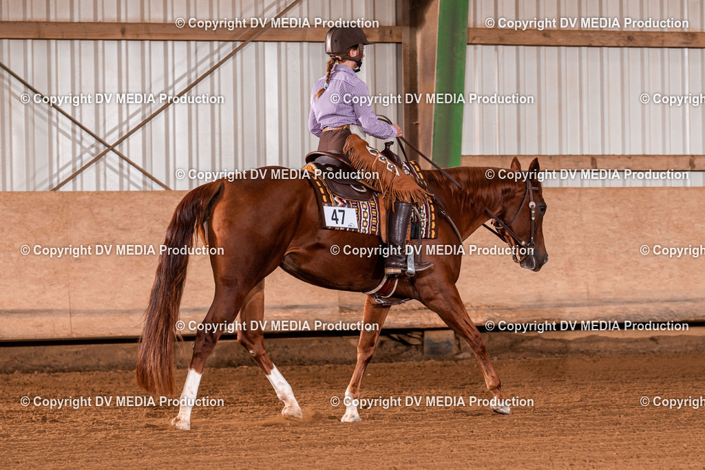 Balingen Tag 2-1161 | dv-media-shop - Realisiert mit Pictrs.com