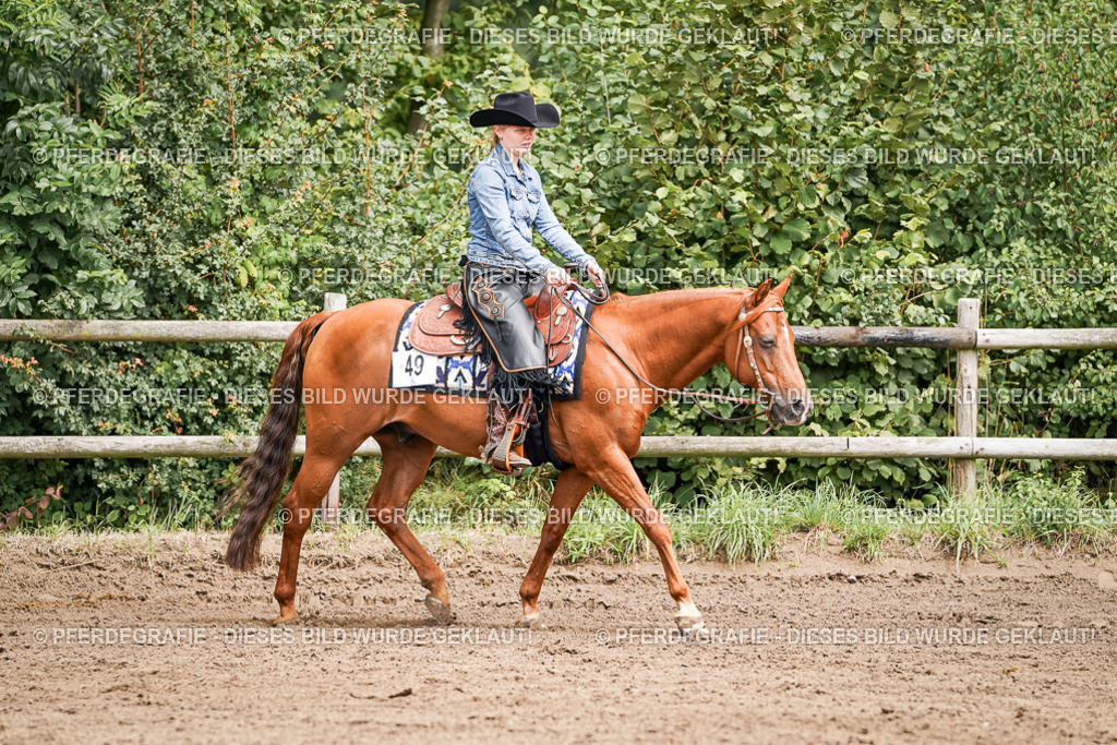 DSC06555 | Pferdegrafie