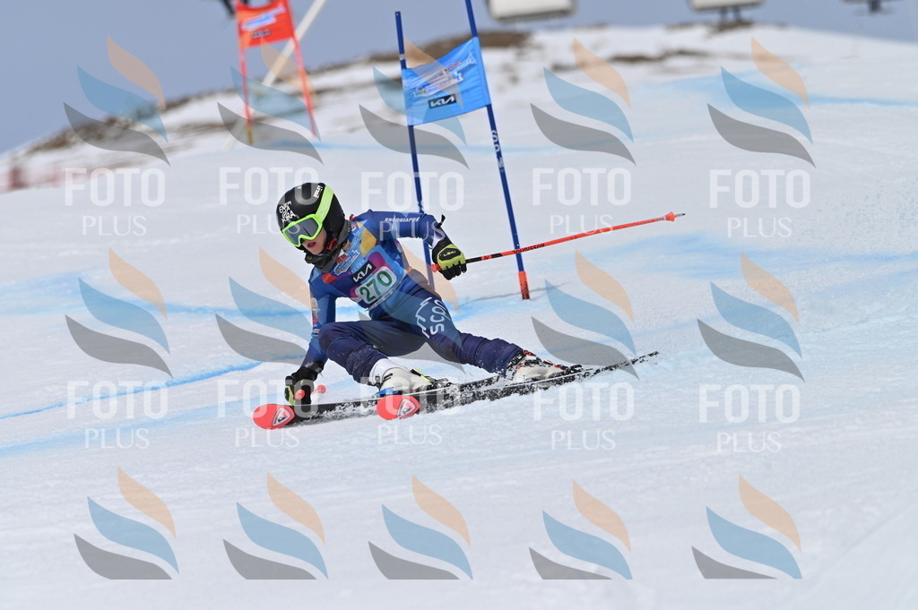 BGV_5350 | holidayphoto